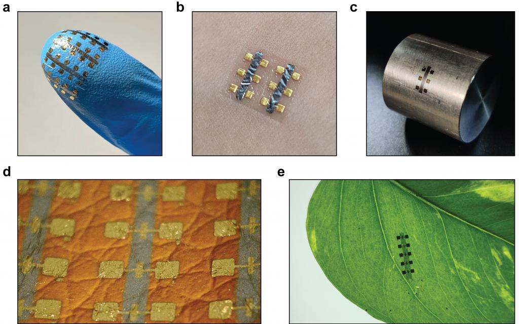 MoS2 conformal devices